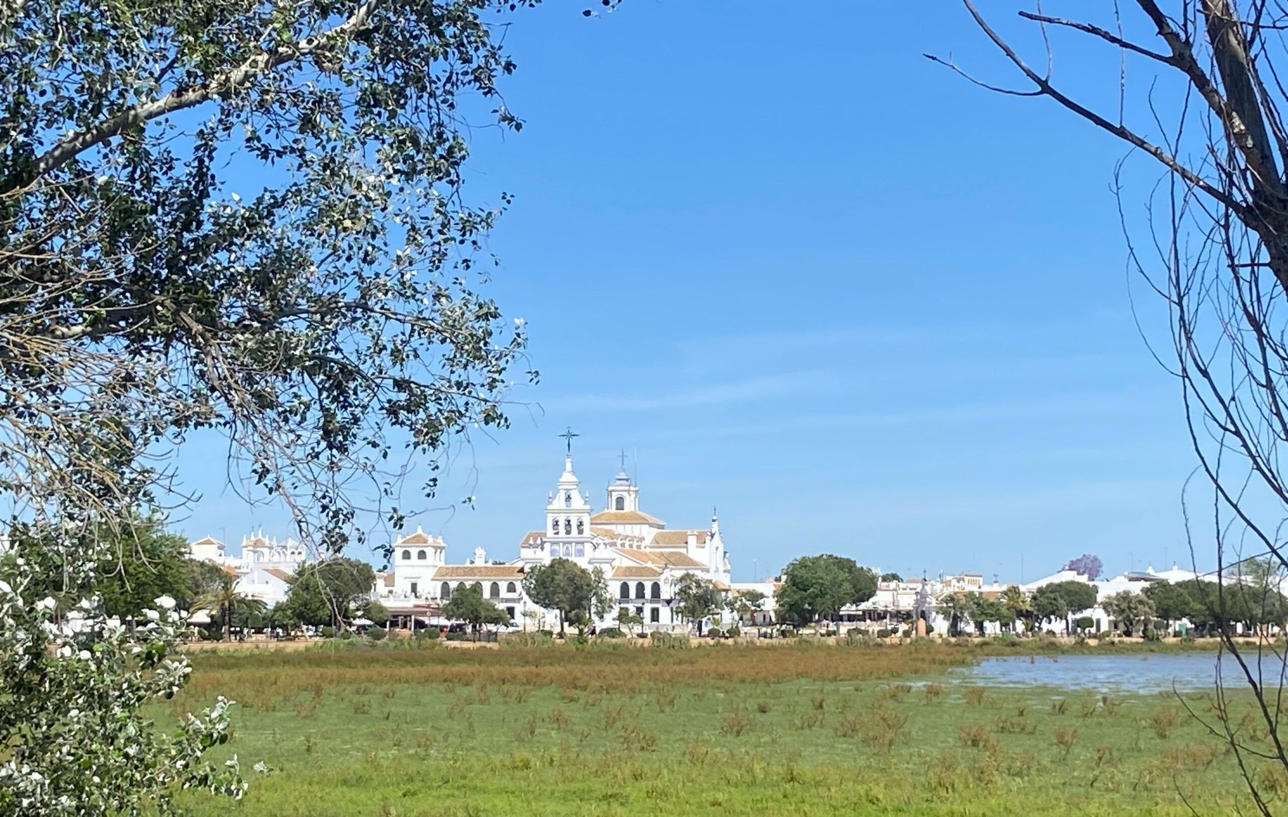 Camping Doñana con niños