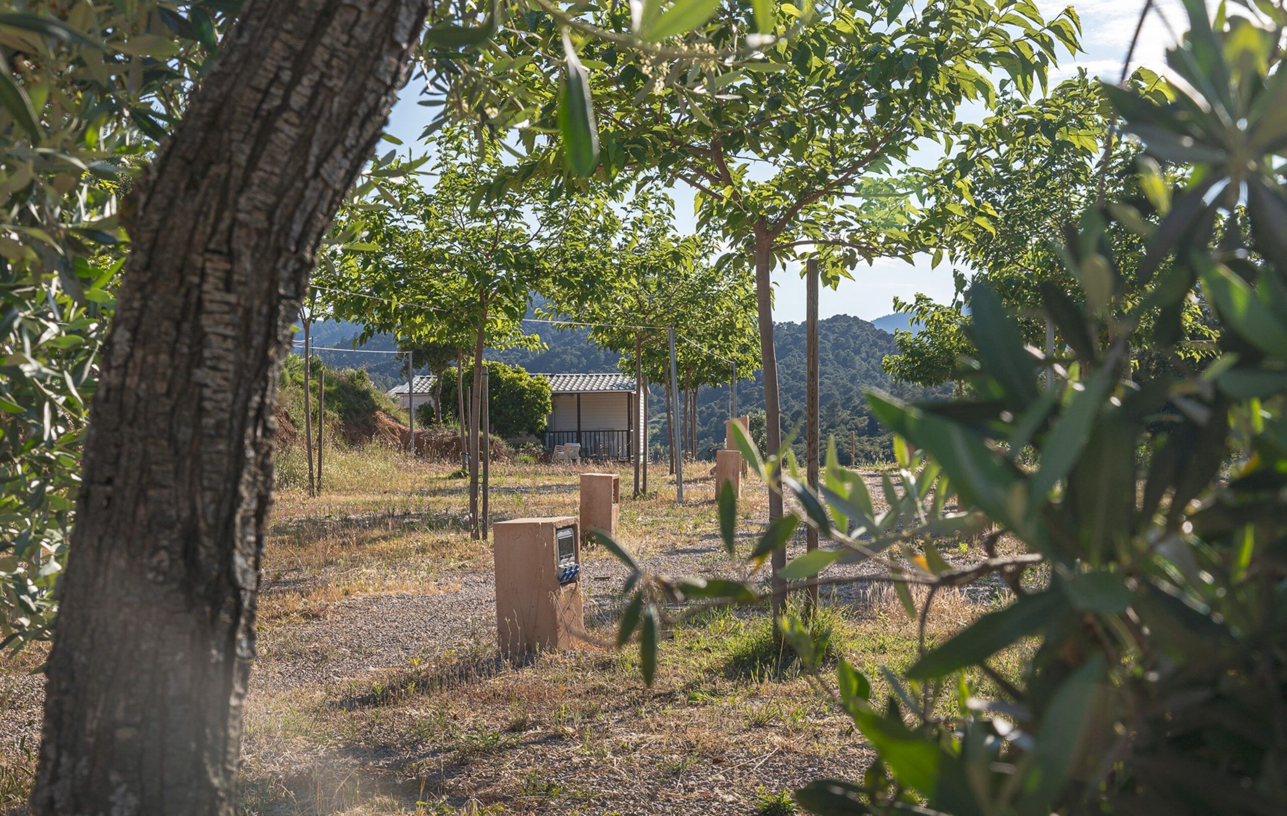 Matarraña con niños