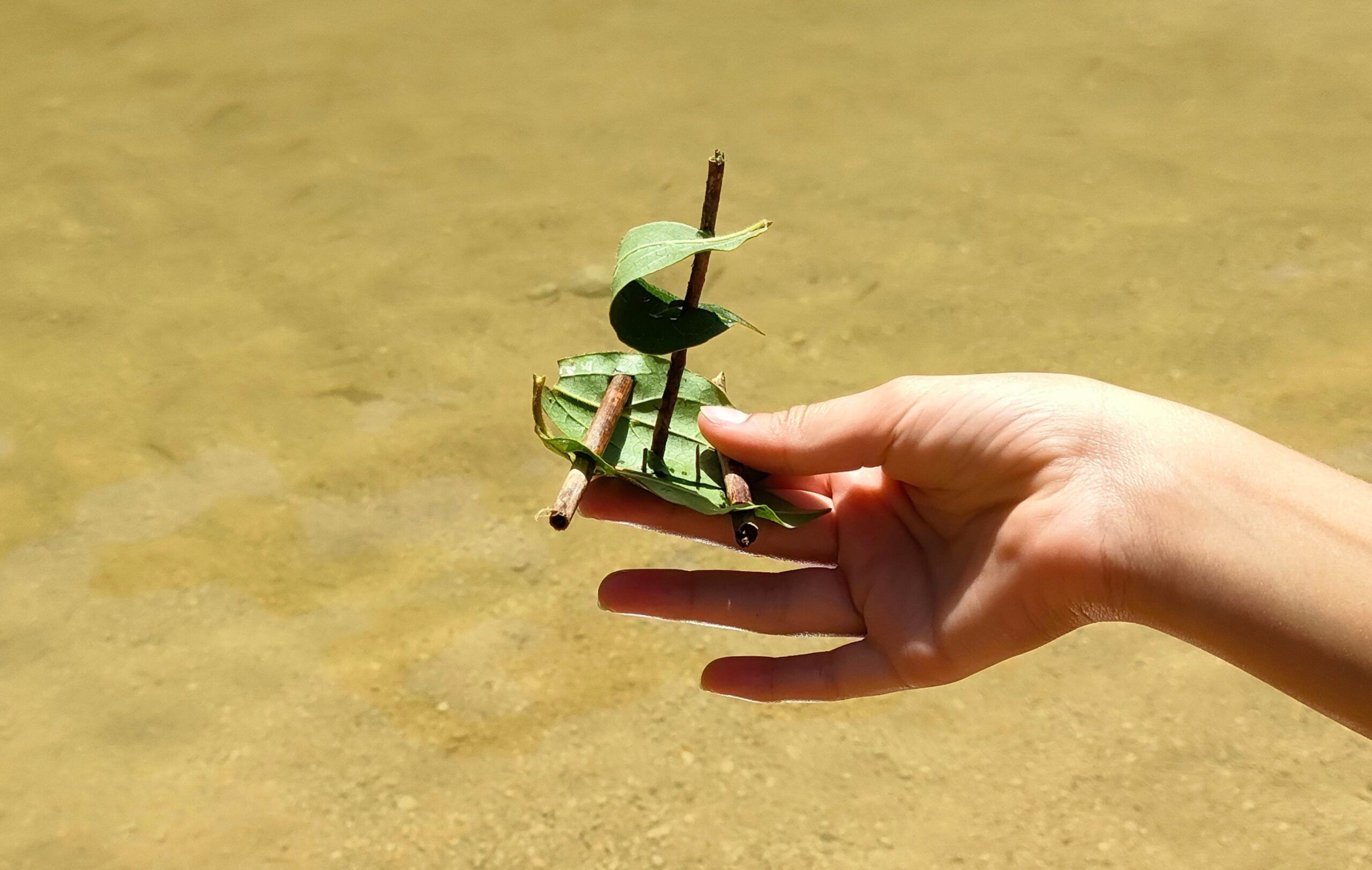 Manualidades con niños en el campo