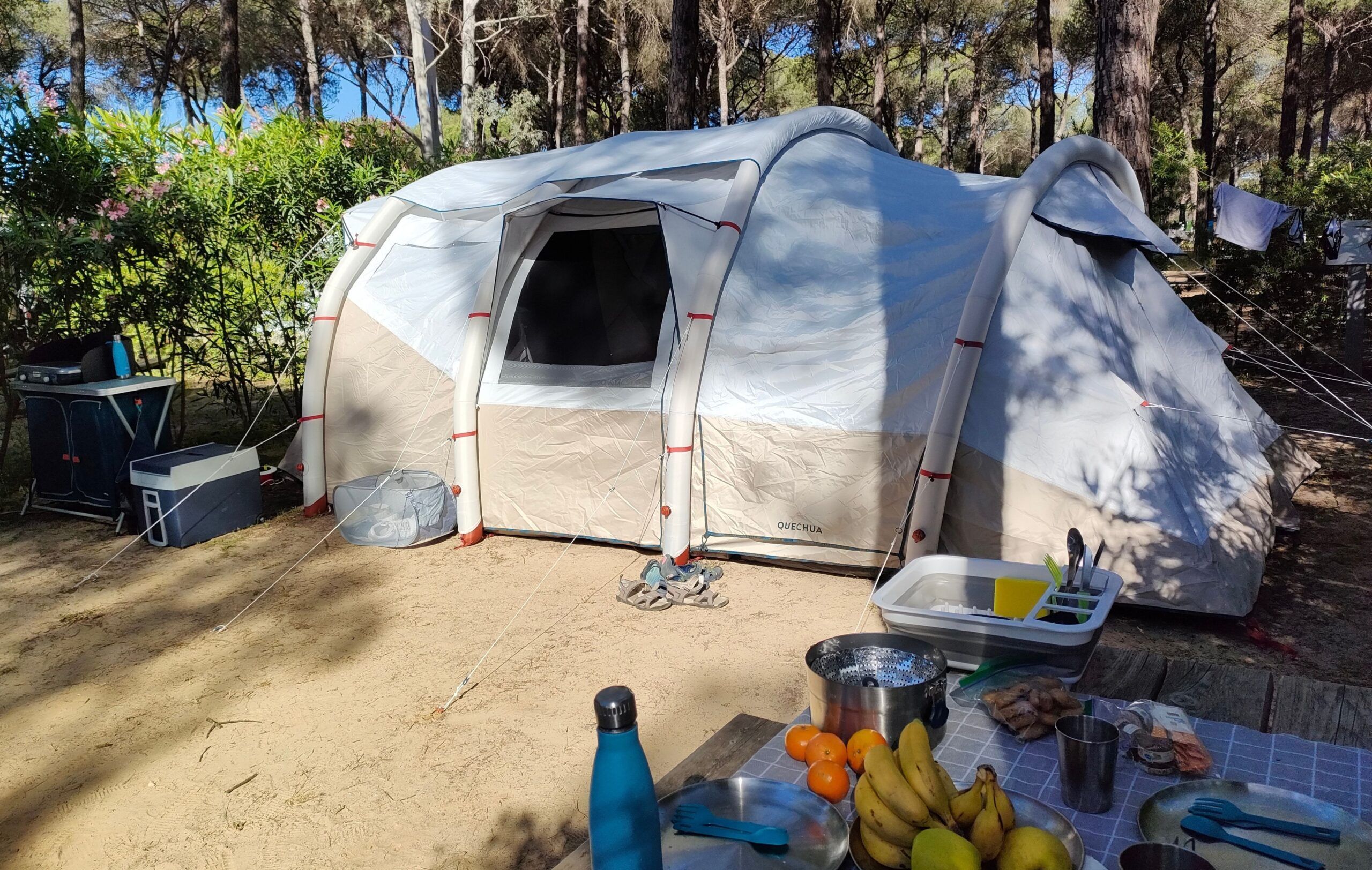 Doñana con niños