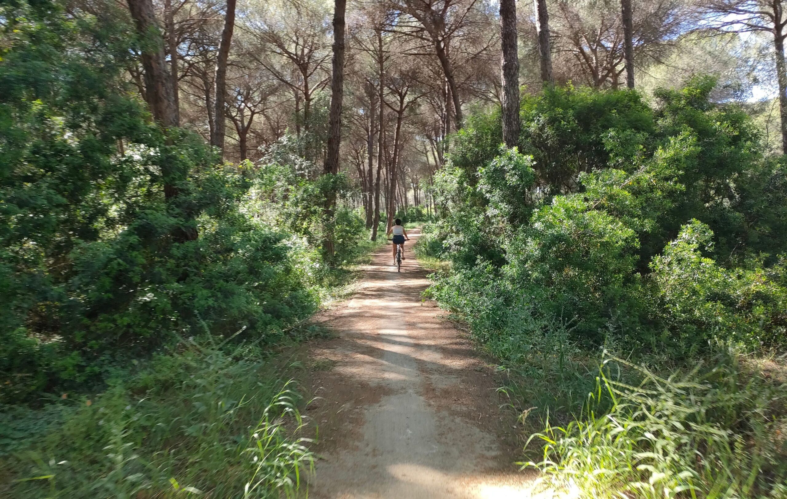 Doñana con niños